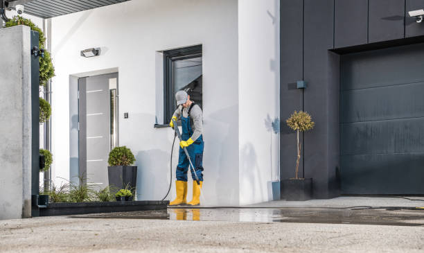 Animal Enclosure Cleaning in Sneads, FL